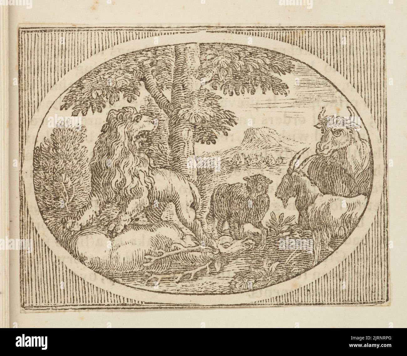 Wood engraving, England, by Thomas Bewick Stock Photo Alamy