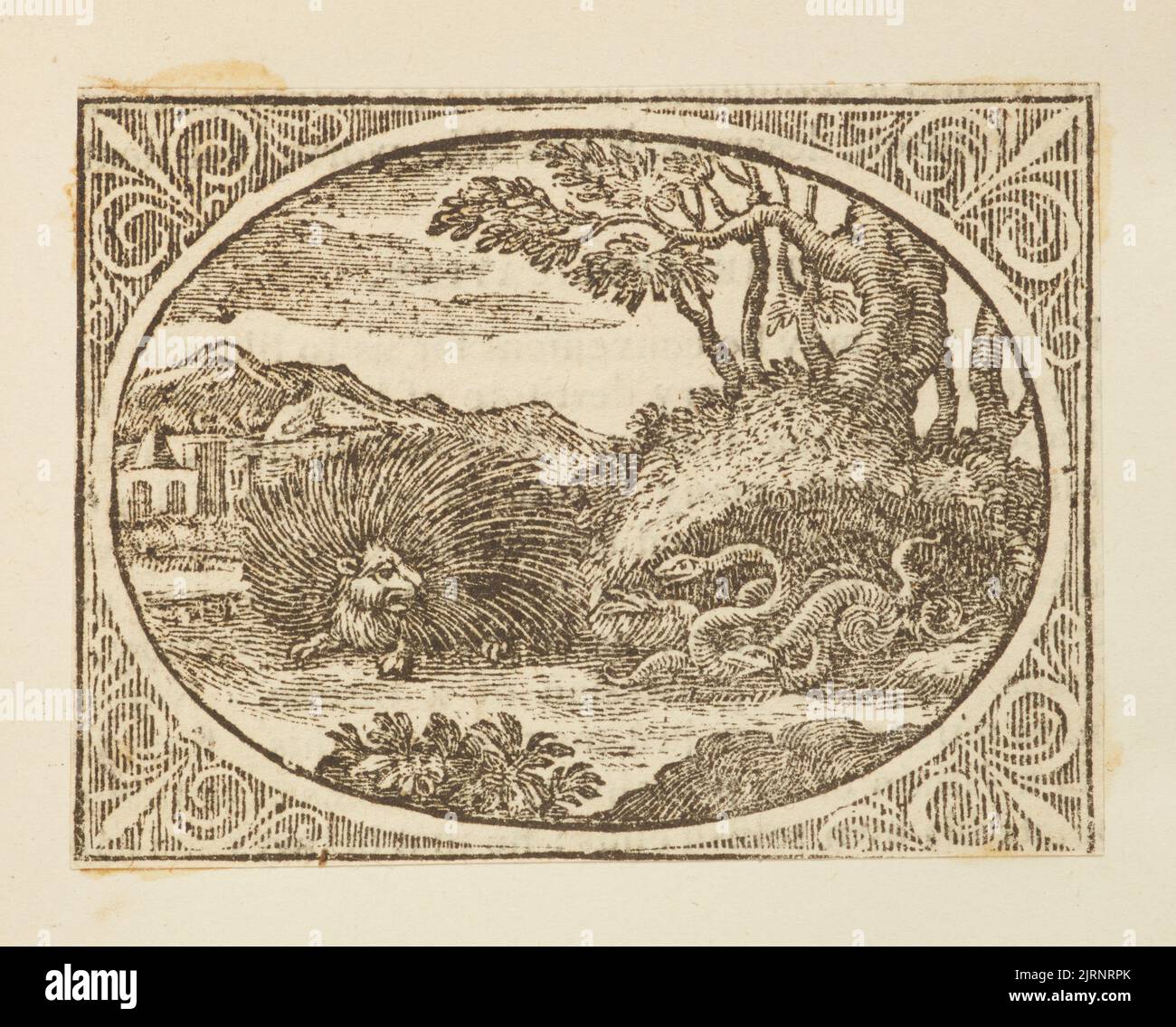 Wood engraving, England, by Thomas Bewick Stock Photo Alamy