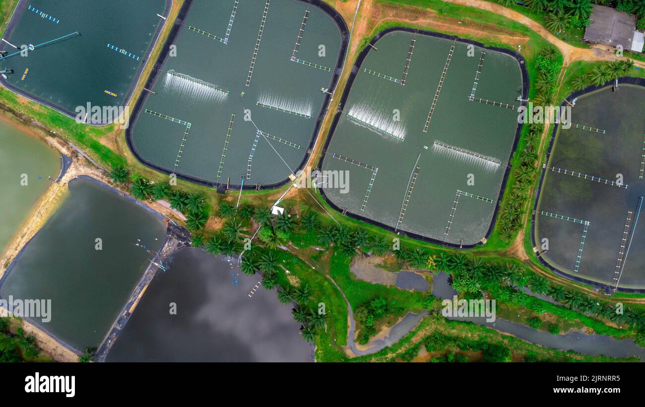 Aerial view of sewage treatment plant. Industrial wastewater treatment plant in Southern Thailand. Sewage Farm Stock Photo