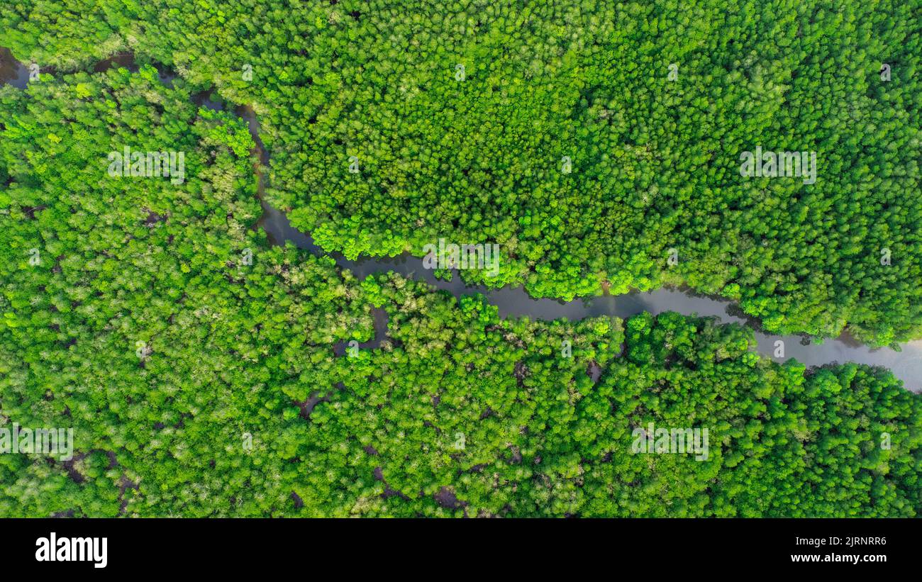 Aerial view of Phang Nga Bay and mangrove forest in the Andaman Sea, Thailand. Samet Nangshe, Unseen thailand. Beautiful natural landscape background Stock Photo