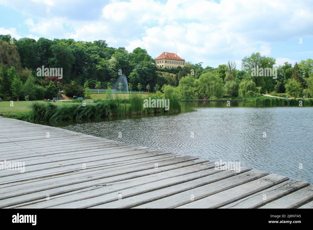 The relaxation and activity area park in Prague called 'Stromovka' (Tree park) with its nice grass areas, ponds and pathways. Attraction for locals an Stock Photo
