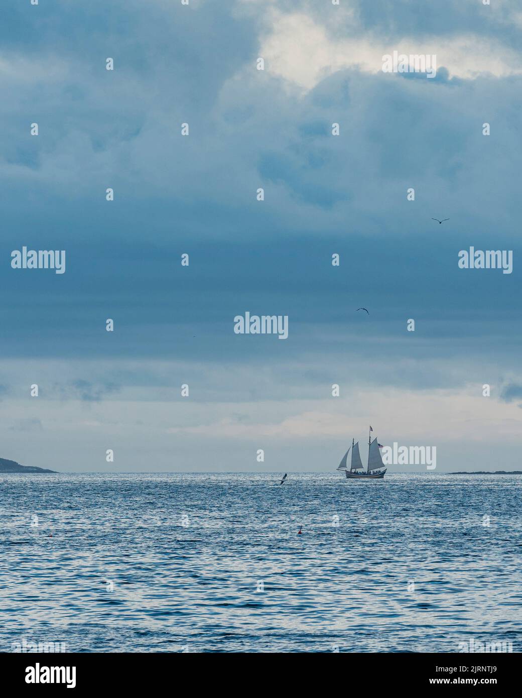 Beverly Harbor Overlook Schooner & Seagulls Stock Photo - Alamy