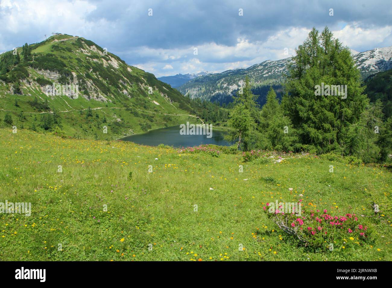 The picture from the beautiful nature in Austria in Tauplitzalm in the Alps. Stock Photo