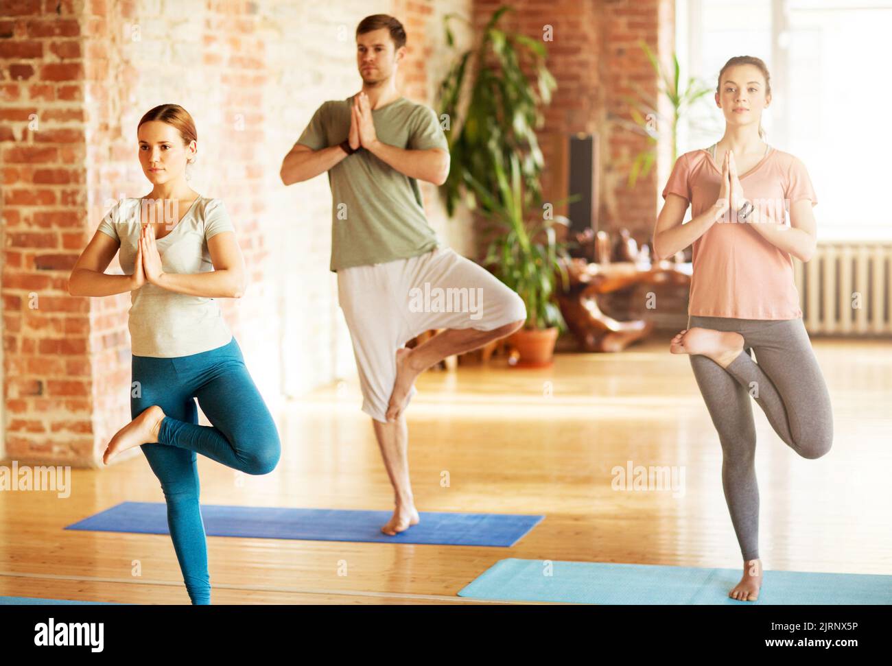 group of people doing yoga tree pose at studio Stock Photo - Alamy