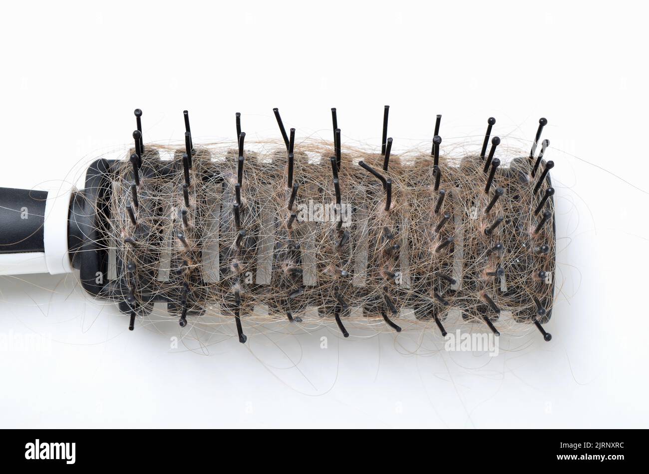Hairbrush clogged up with hair close up on white background Stock Photo