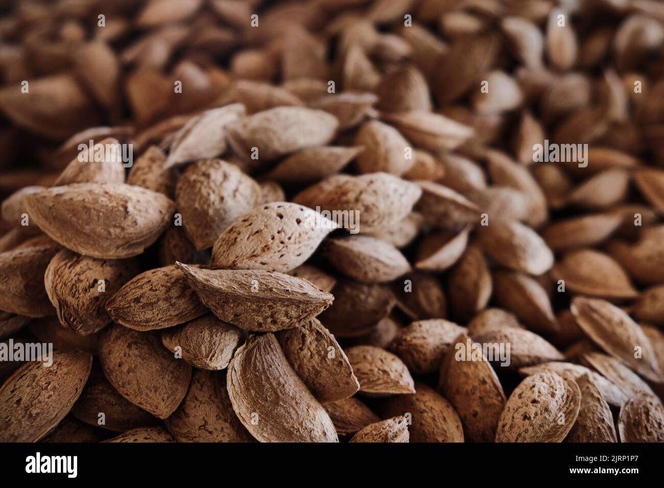 Heap of almond kernels in a nutshell Stock Photo Alamy
