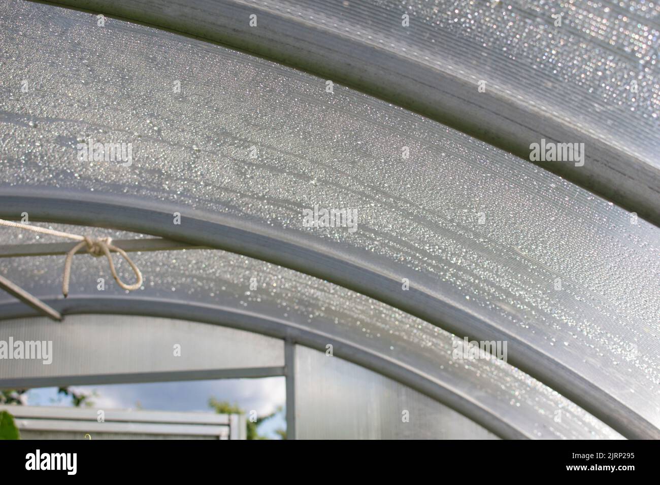 Plastic transparent roof of a greenhouse for vegetable plants in summer at farm. Stock Photo