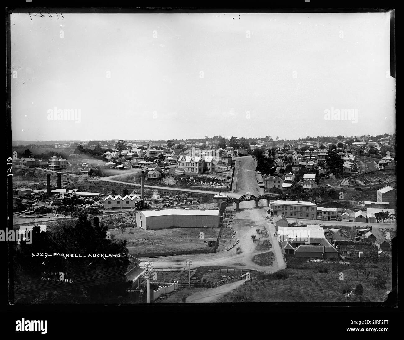 Parnell, Auckland, Dunedin, by Burton Brothers Stock Photo - Alamy