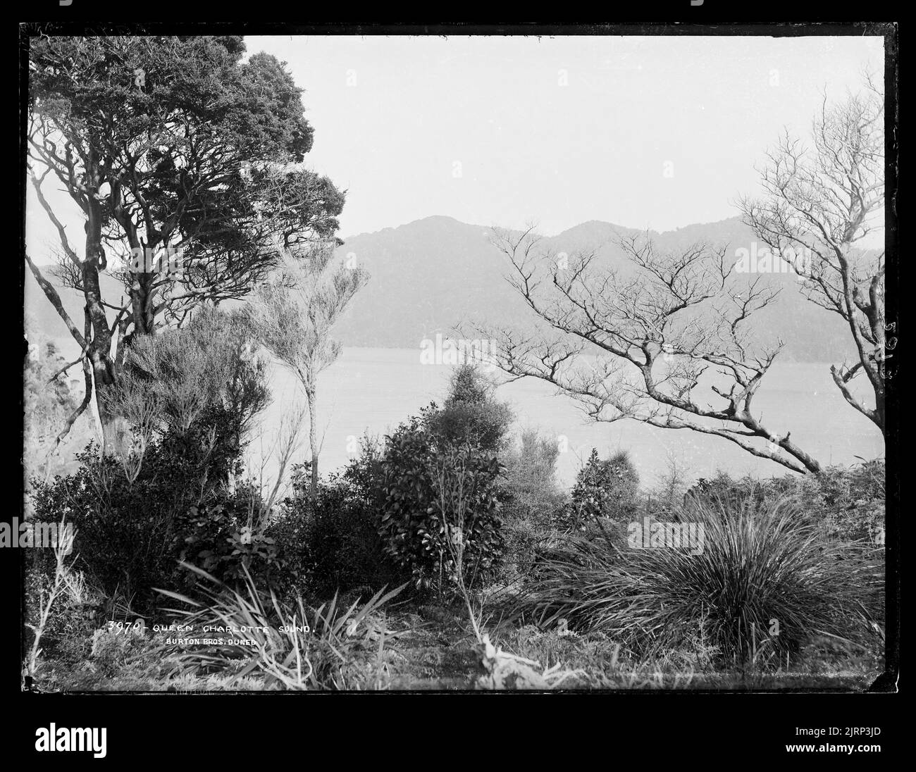 Queen Charlotte Sound Stock Photo Alamy