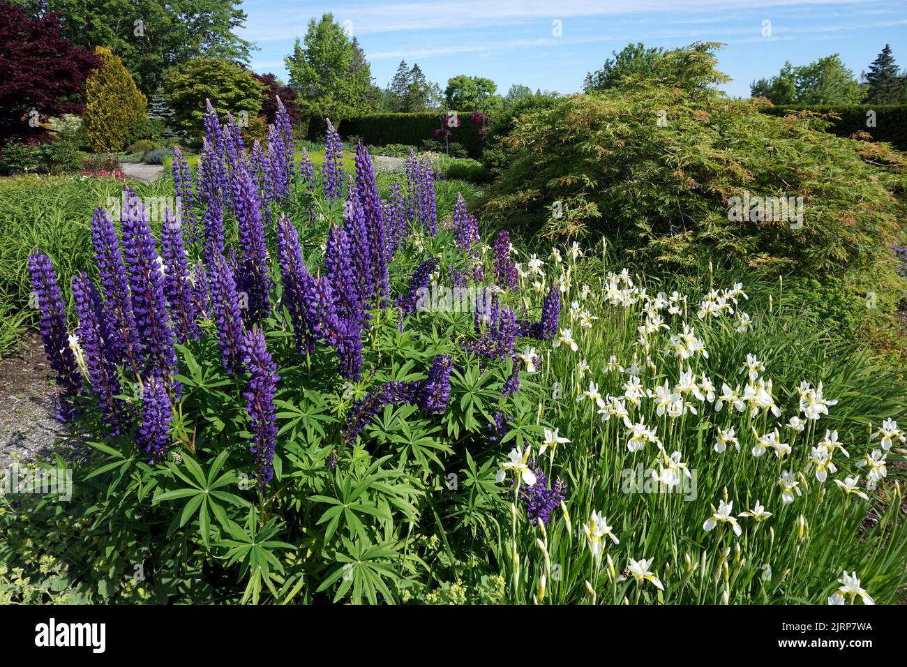 Kingsbrae Gardens, St Andrews, New Brunswick Stock Photo