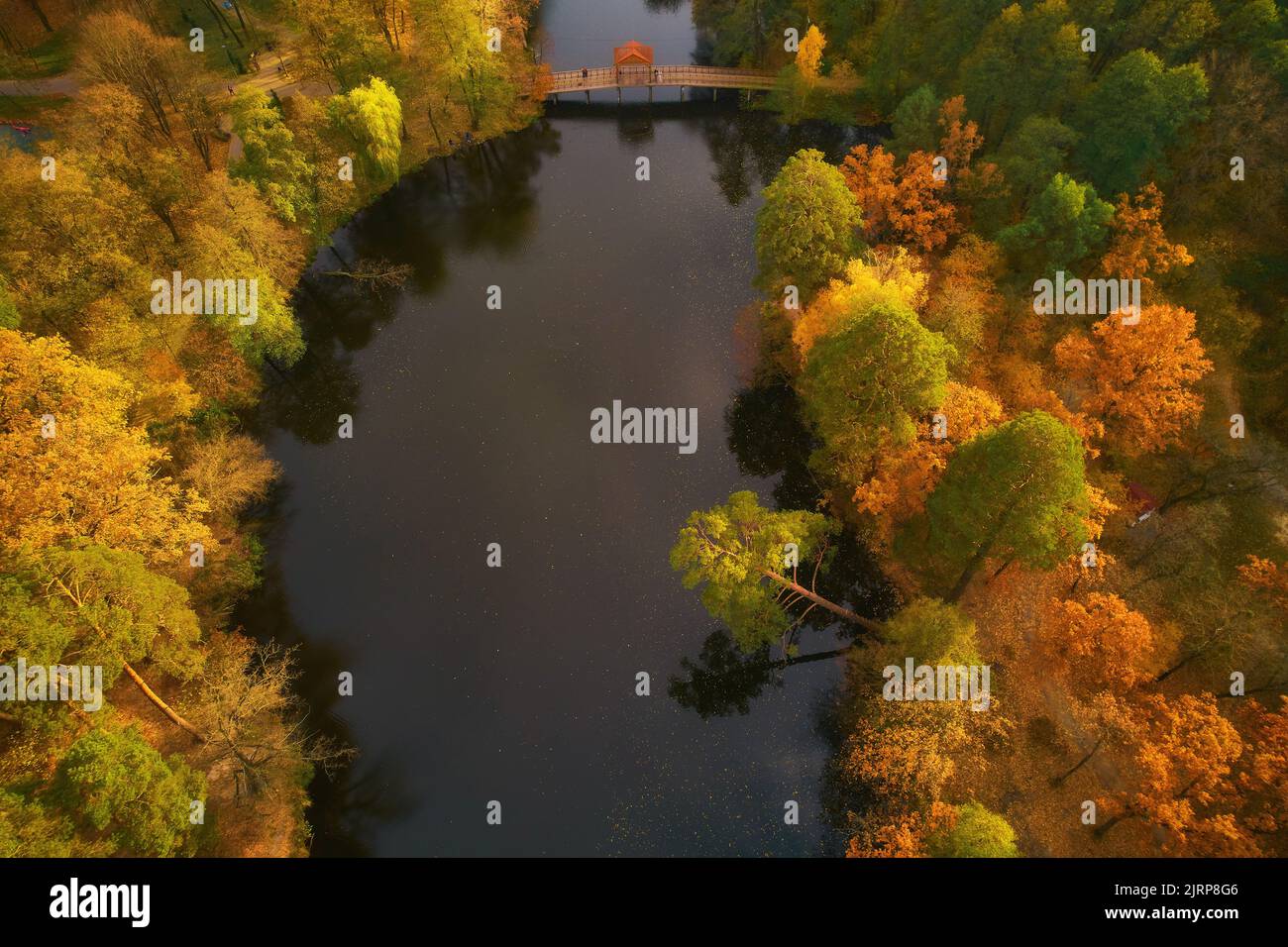 Aerial Drone view of colorful top of the forest and a lake at Autumn ...