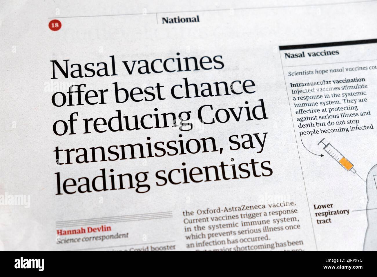 'Nasal vaccines offer best chance of reducing Covid transmission, say leading scientists' Guardian newspaper covid 19 cutting 20 August 2019 London UK Stock Photo