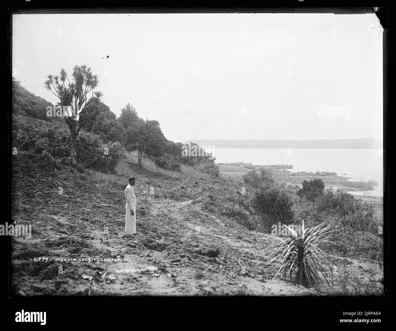 Mokoia Island, Rotorua, 1880s, Dunedin, by Burton Brothers Stock Photo