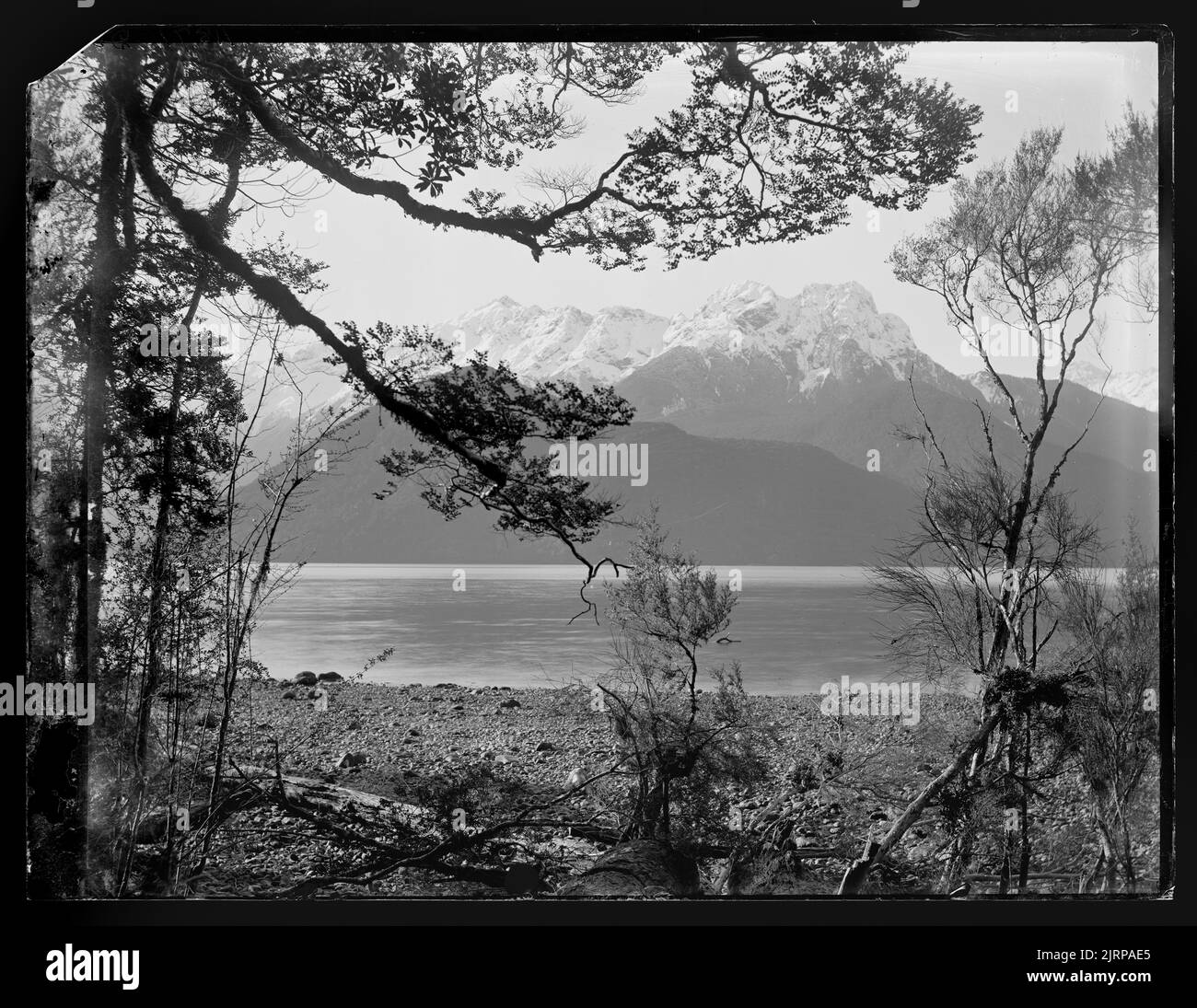 [Head of Lake Mount Largs, Lake Te Anau], 1889, Dunedin, by Burton Brothers, Alfred Burton Stock