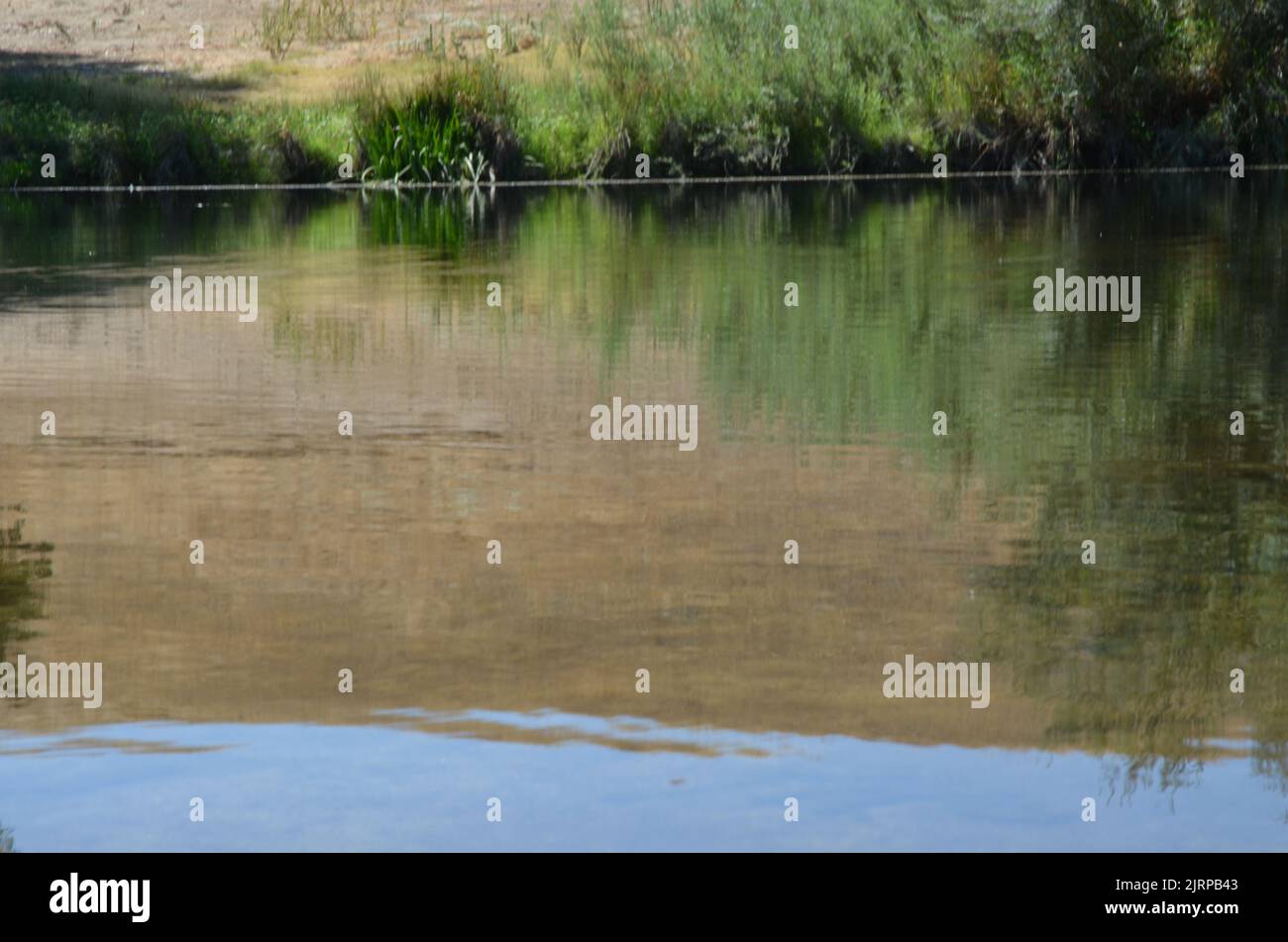 Beautiful pictures taken at Lost Lake, CA Stock Photo
