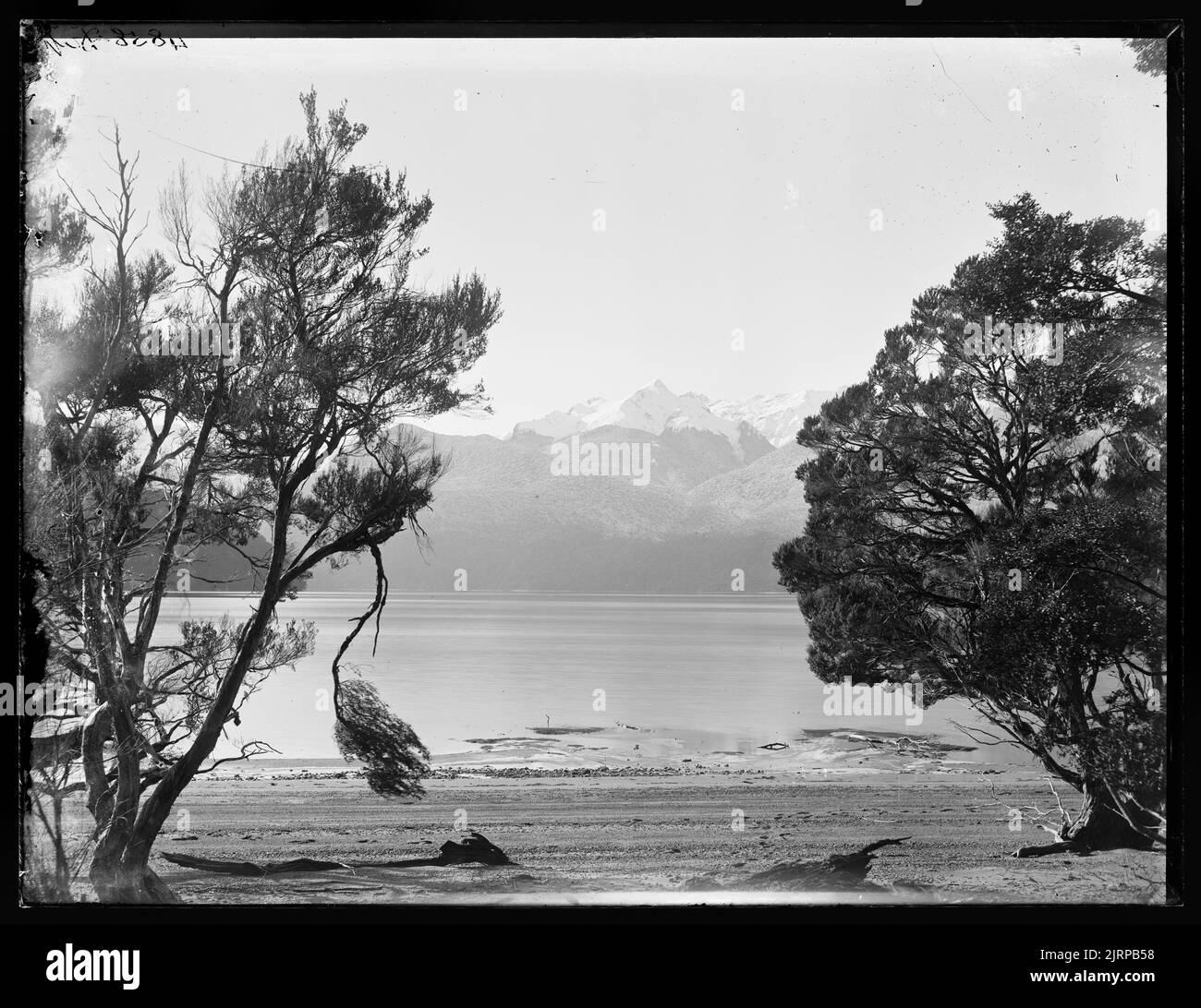 [Safe or Happy Cove, Te Anau], 1889, Dunedin, by Burton Brothers, Alfred Burton Stock Photo Alamy