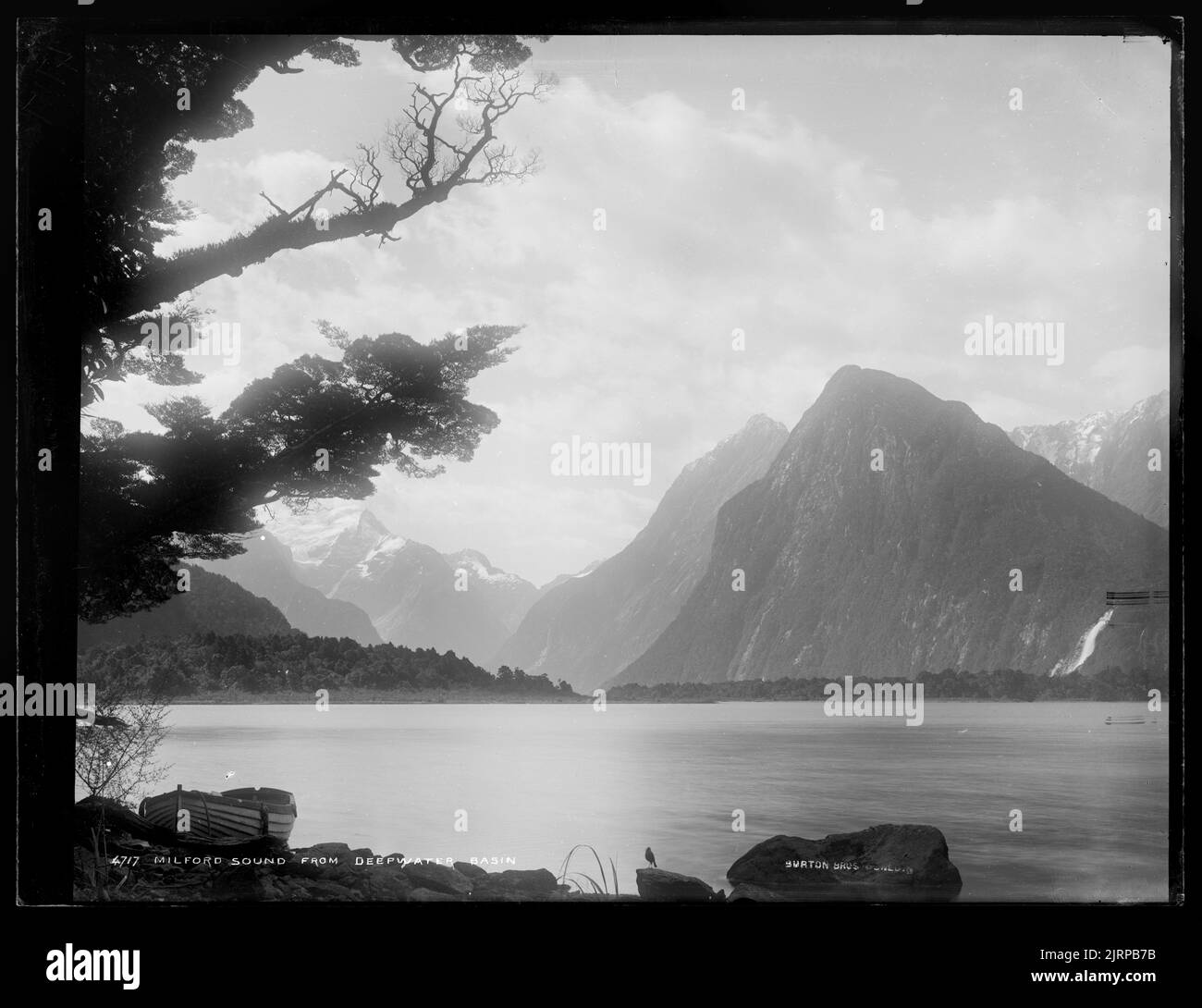 Milford Sound from Deepwater Basin, New Zealand, by Burton Brothers