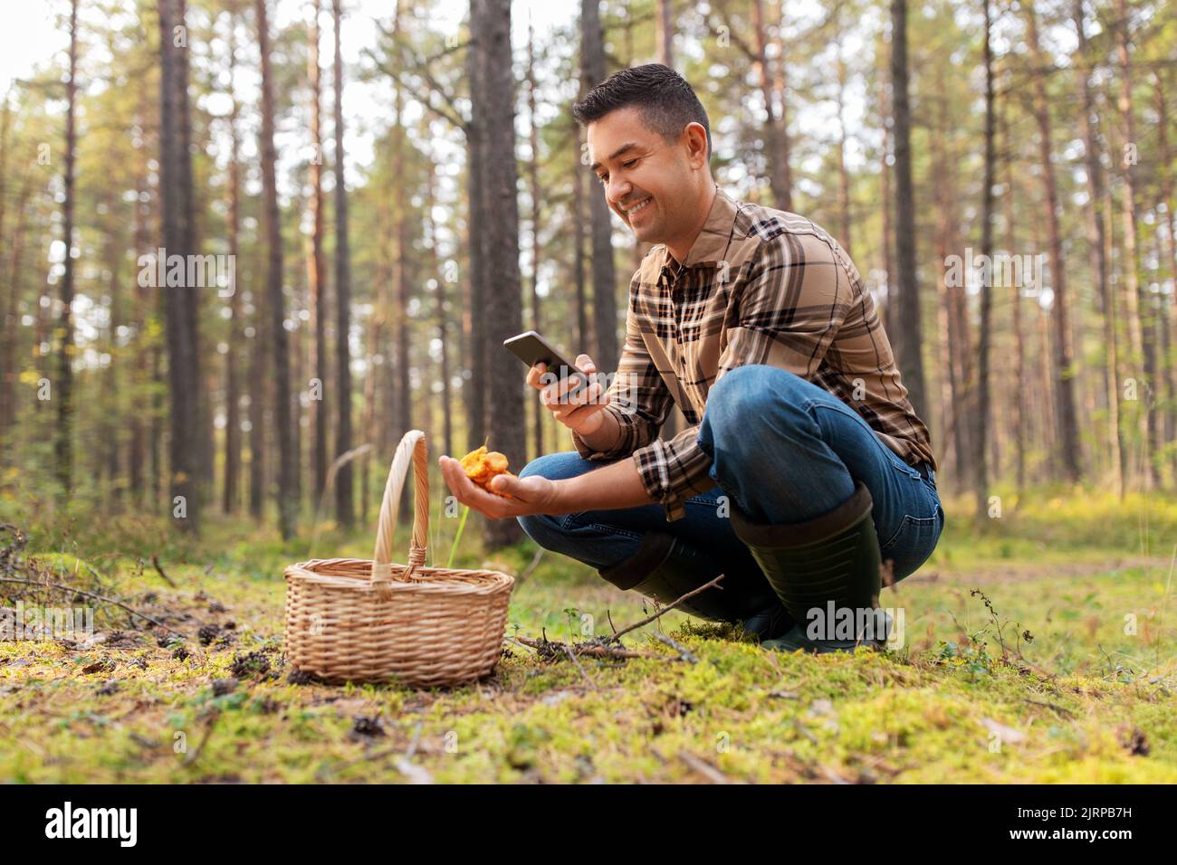 Mushroom Smartphone