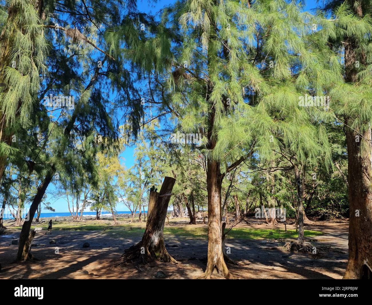 Amazing landscapes of Big Island Hawaii Views of Hawaii Stock Photo - Alamy