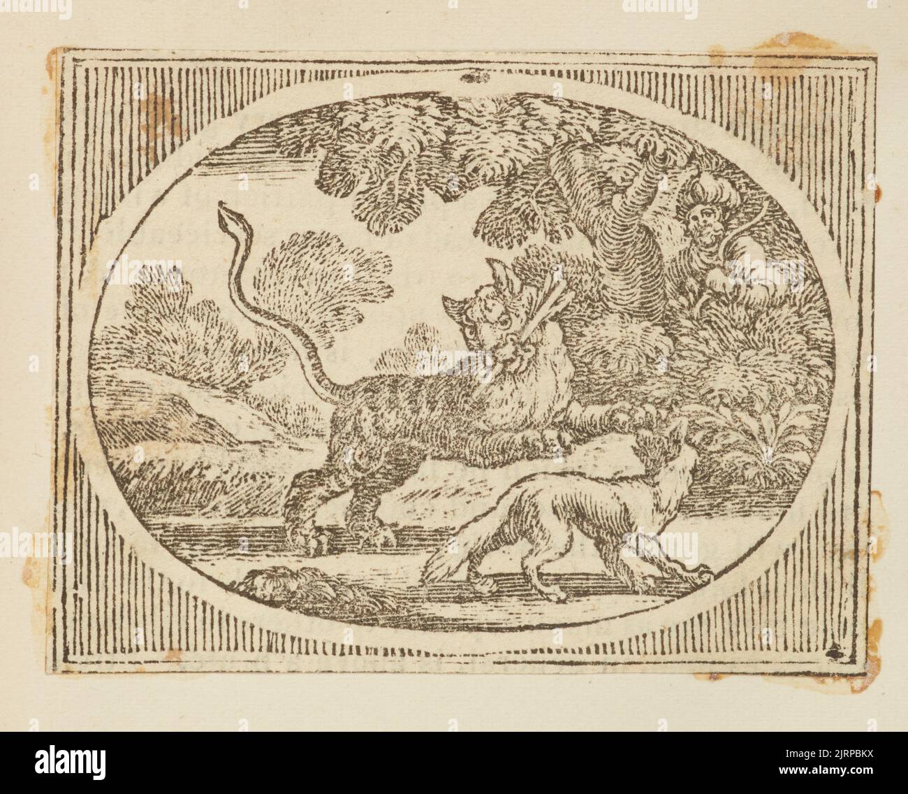 Wood engraving, England, by Thomas Bewick Stock Photo Alamy