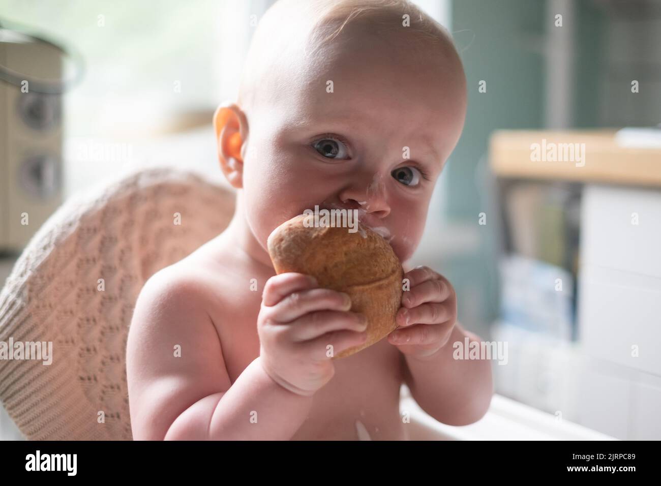 Funny caucasian happy baby boy eating bread on breakfast on the morning. Stock Photo