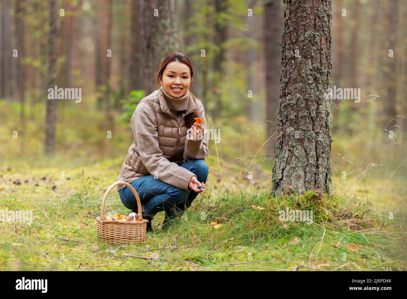 young woman picking mushrooms in autumn forest Stock Photo