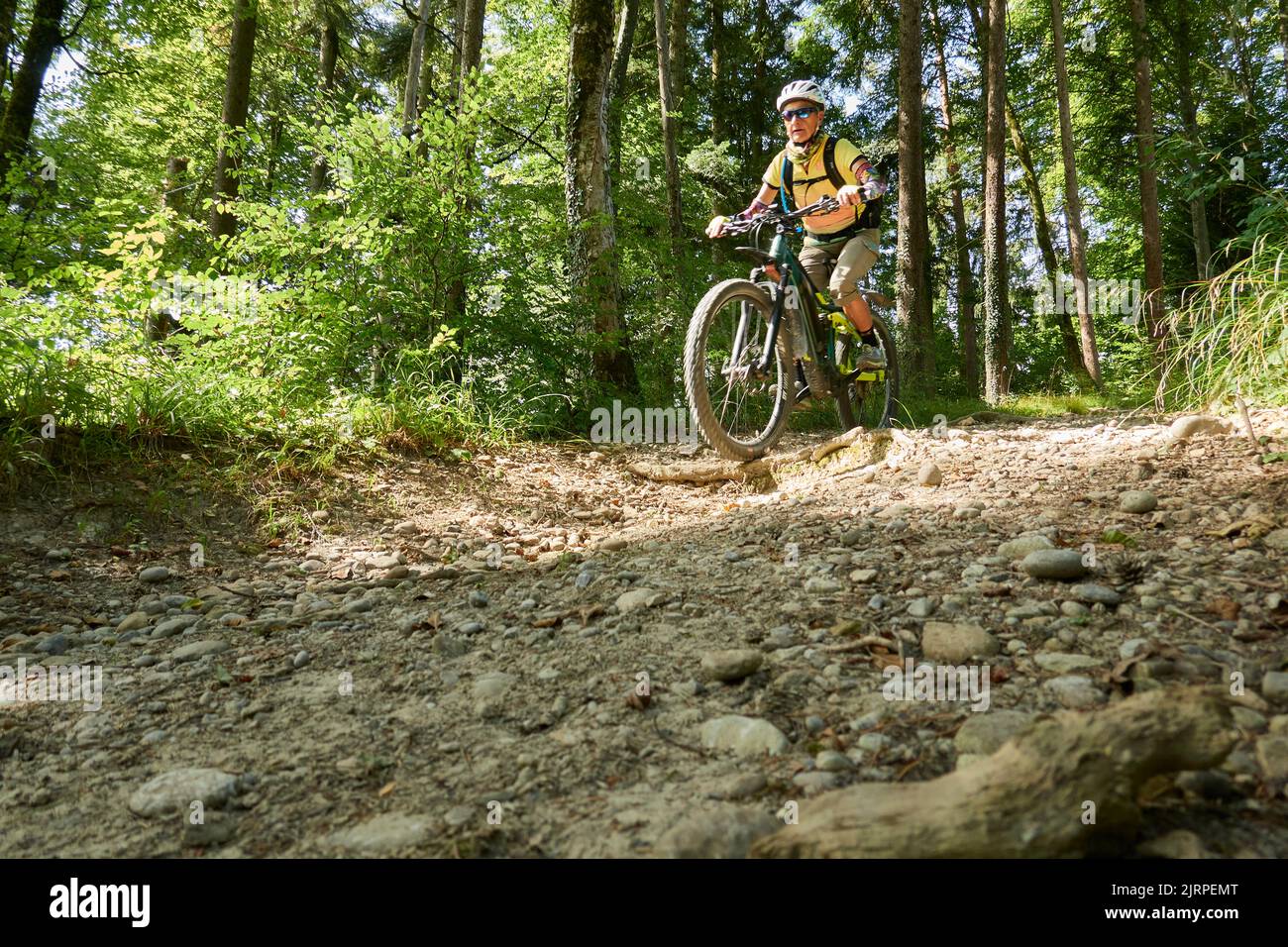 Mountain Biker Riding Downhill In The Forest On A Stony Nature Trail