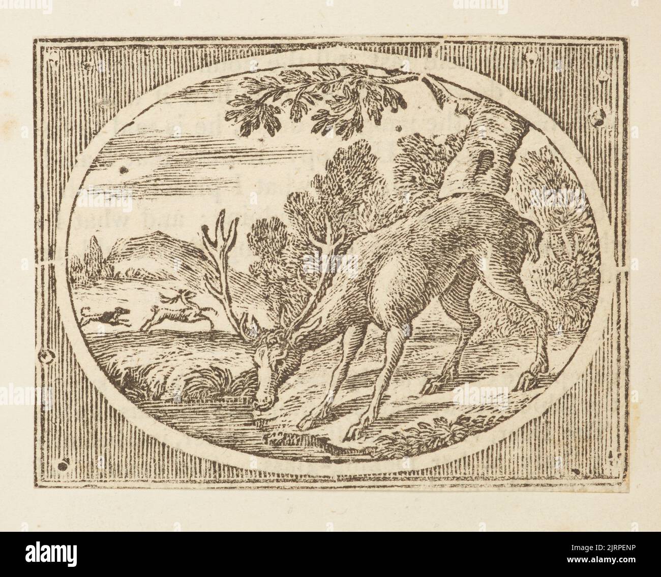 Wood engraving, England, by Thomas Bewick Stock Photo Alamy