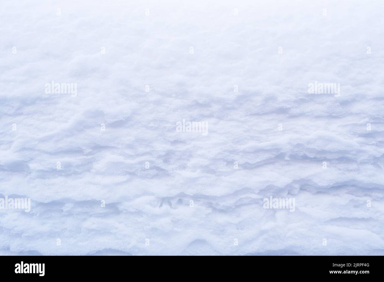 Winter snow. Snow texture Top view of the snow. Texture for design ...