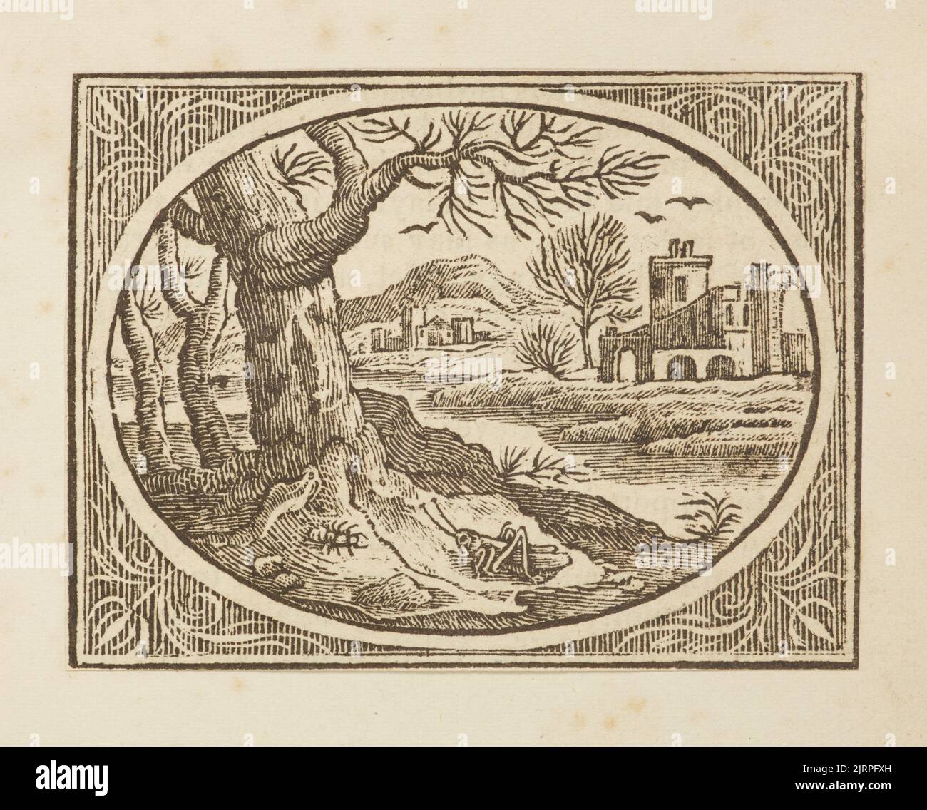Wood engraving, England, by Thomas Bewick Stock Photo Alamy