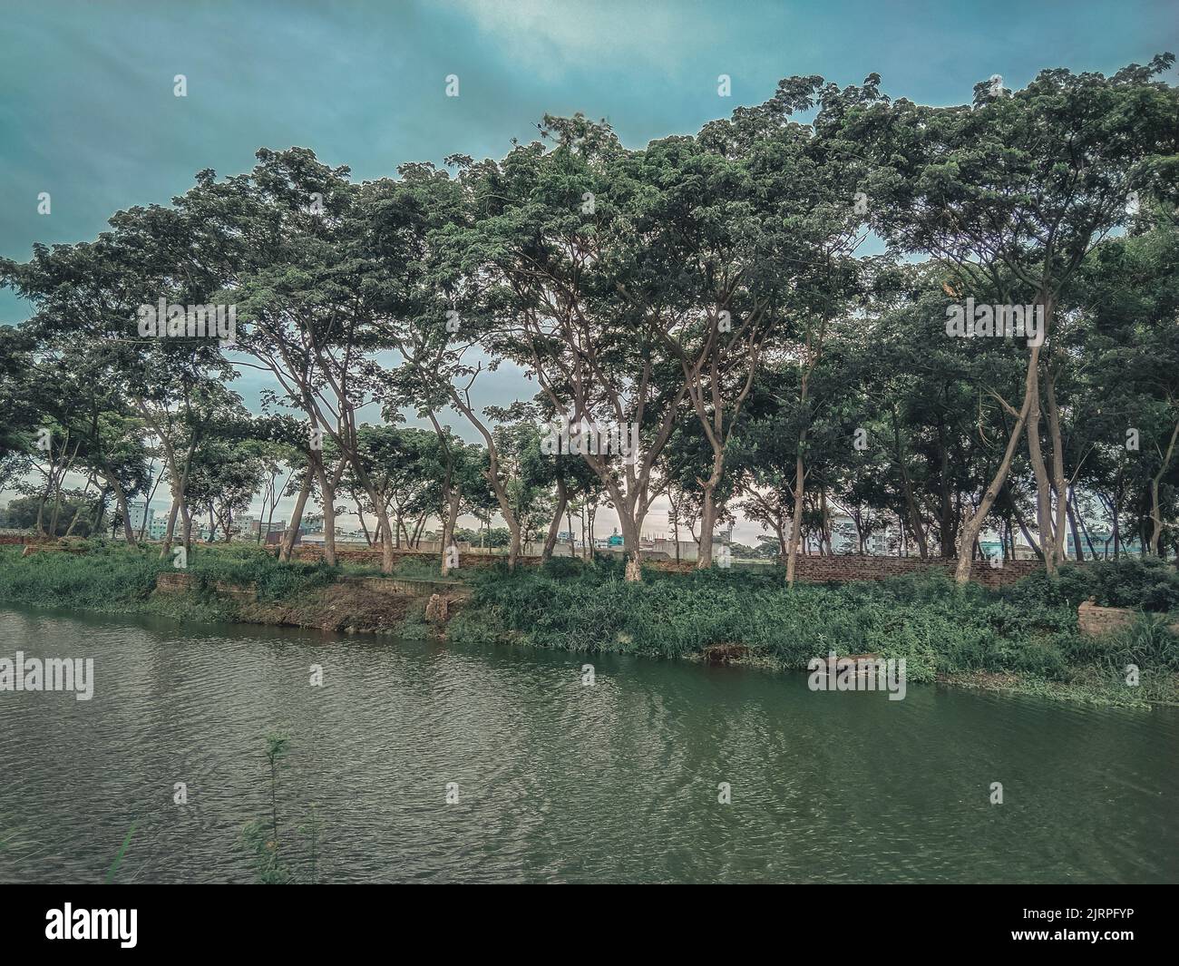 A lake and trees with a cloudy sky background Stock Photo - Alamy