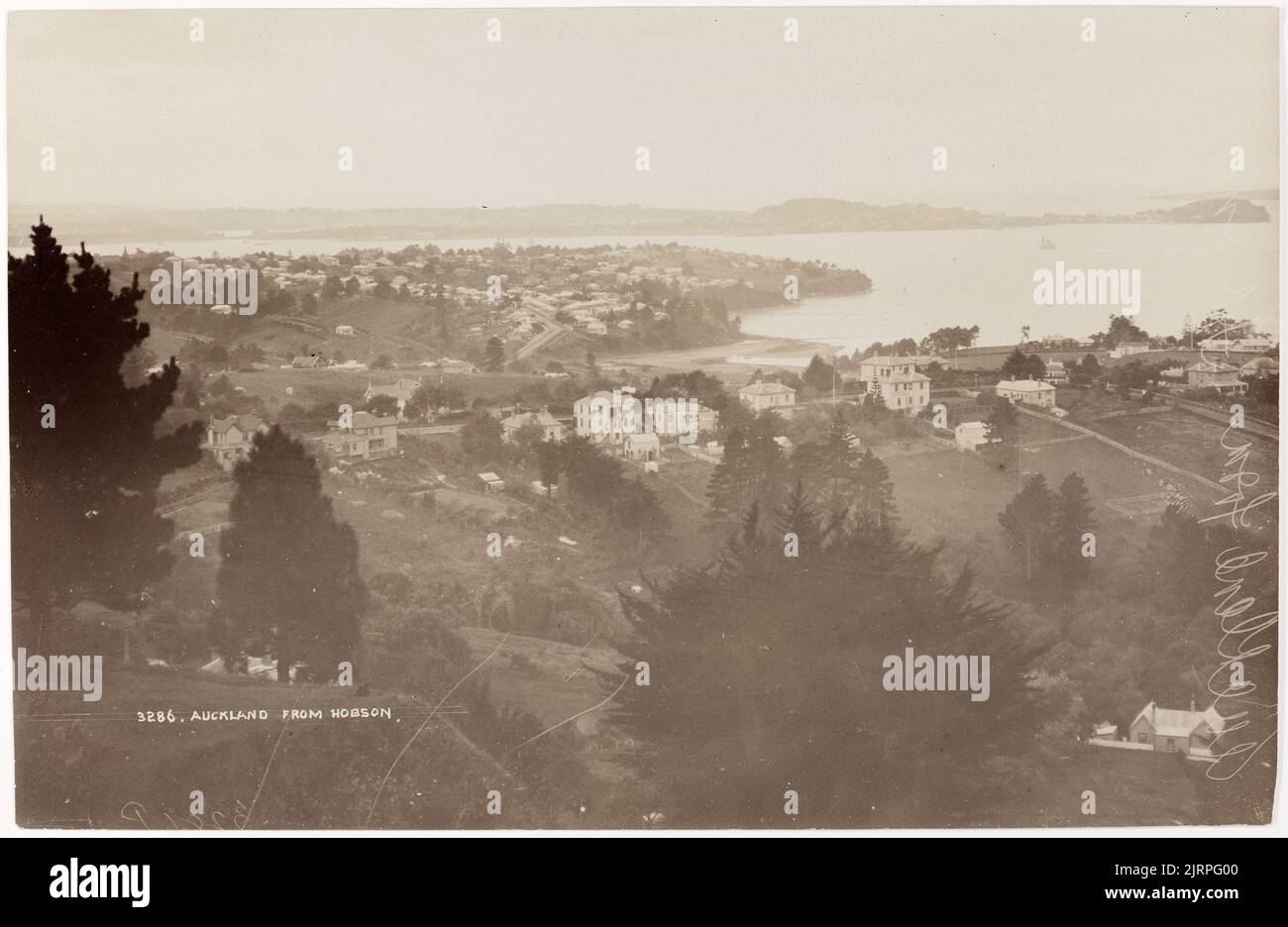 Auckland from Hobson, circa 1910, Auckland, by Muir & Moodie. Stock Photo