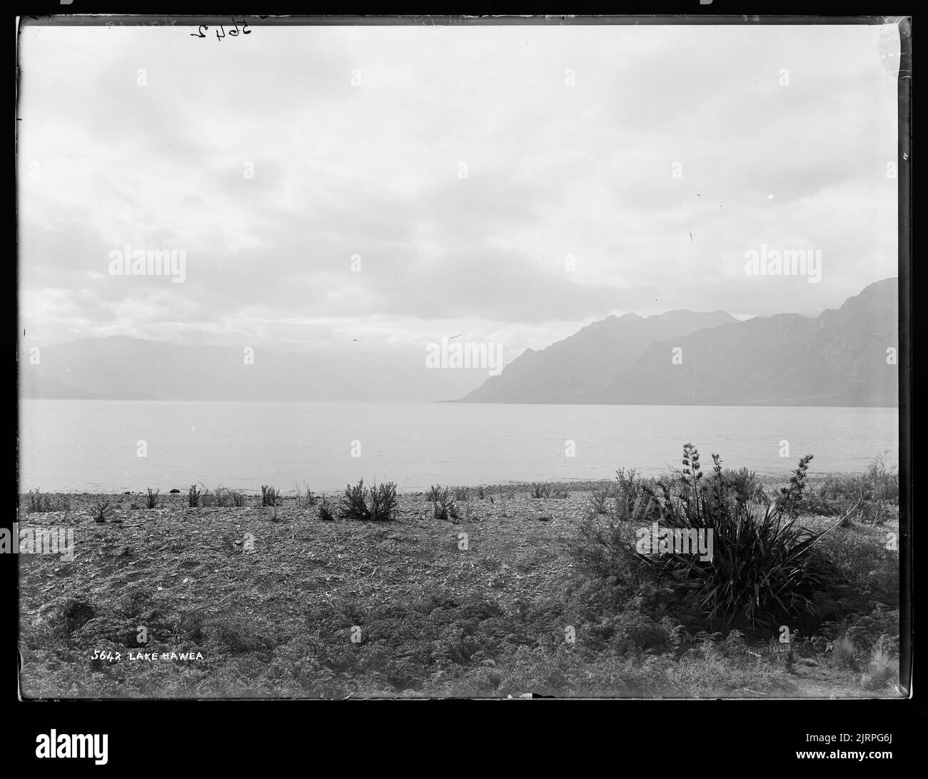 Lake Hawea, [1883], Dunedin, by Burton Brothers Stock Photo Alamy