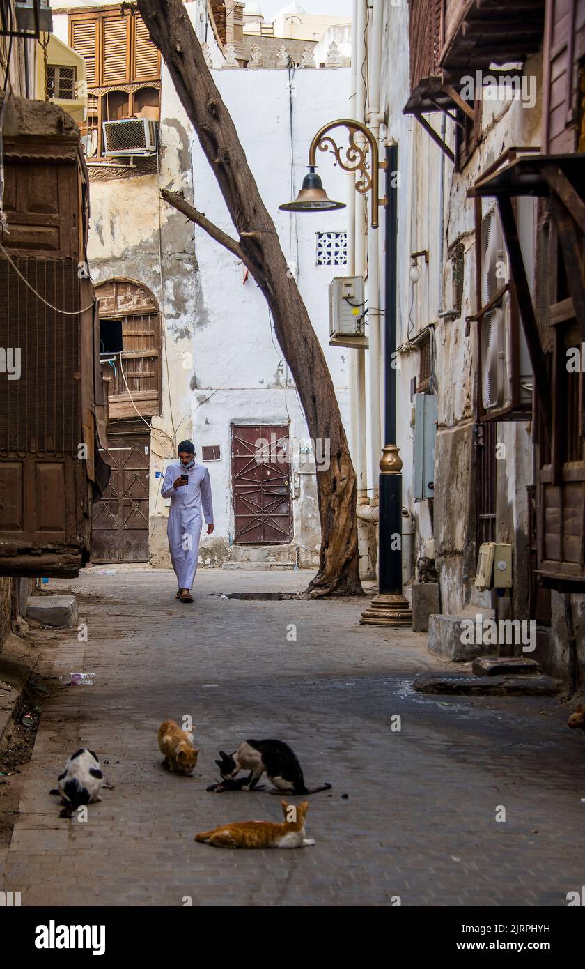 Cats in alley Al Balad Jeddah Saudia Arabia Stock Photo Alamy