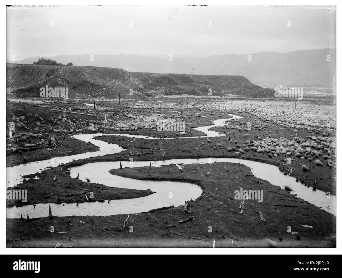 Landscapes and details section of mangaore strea hires stock