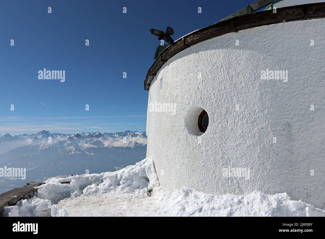 A detail of the rounded roof of the Hafelekar top station of the Nordkettte cable car, above Innsbruck; an Alpine Chough swoops by the roof Stock Photo