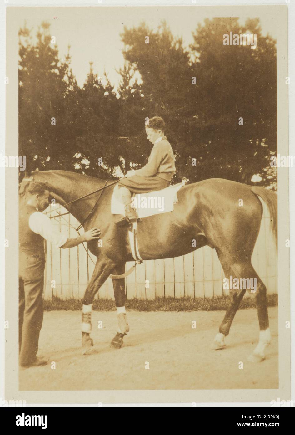 Phar Lap with Mr Telford and rider, 1926-1928, Upper Hutt, by Dr Martin Tweed. Gift of Philippa Corkill, 1999. Stock Photo