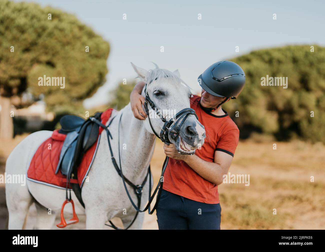 white horse enjoying the pampering of its young owner Stock Photo