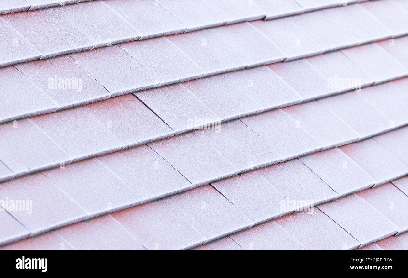 Roof tiles covered in frost or snow in winter, depicting cold winter weather or roof insulation. Plain clay tiles on pitched roof, UK Stock Photo