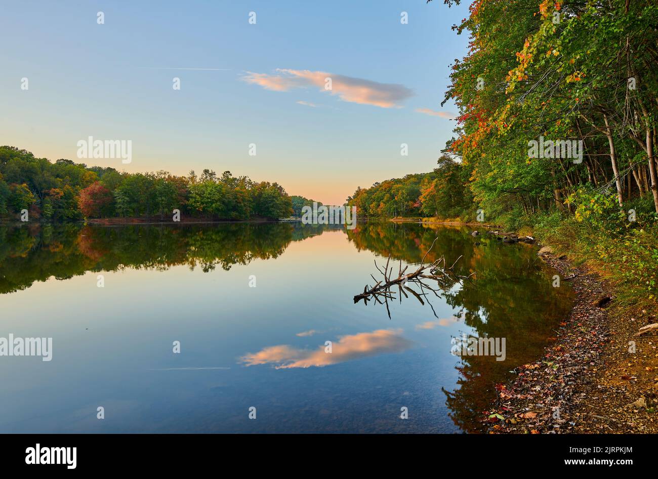Peaceful evening in the park on lake Needwood Stock Photo