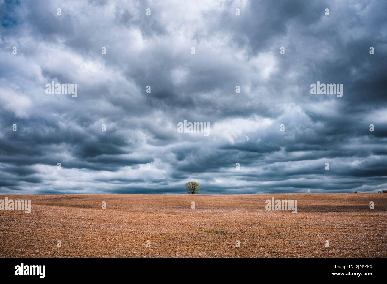 lone tree in plowed farm field with stormy sky Stock Photo - Alamy