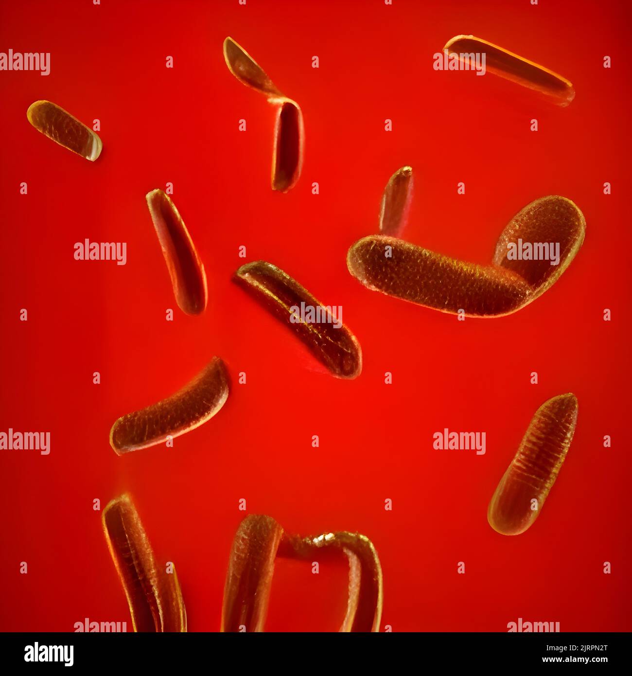 Escherichia Coli (E. Coli.) cells or bacteria under microscope Stock ...