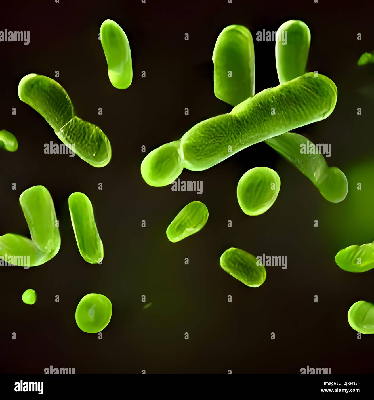 Bacteria Lactobacillus, 3D illustration. lactic acid bacteria Stock
