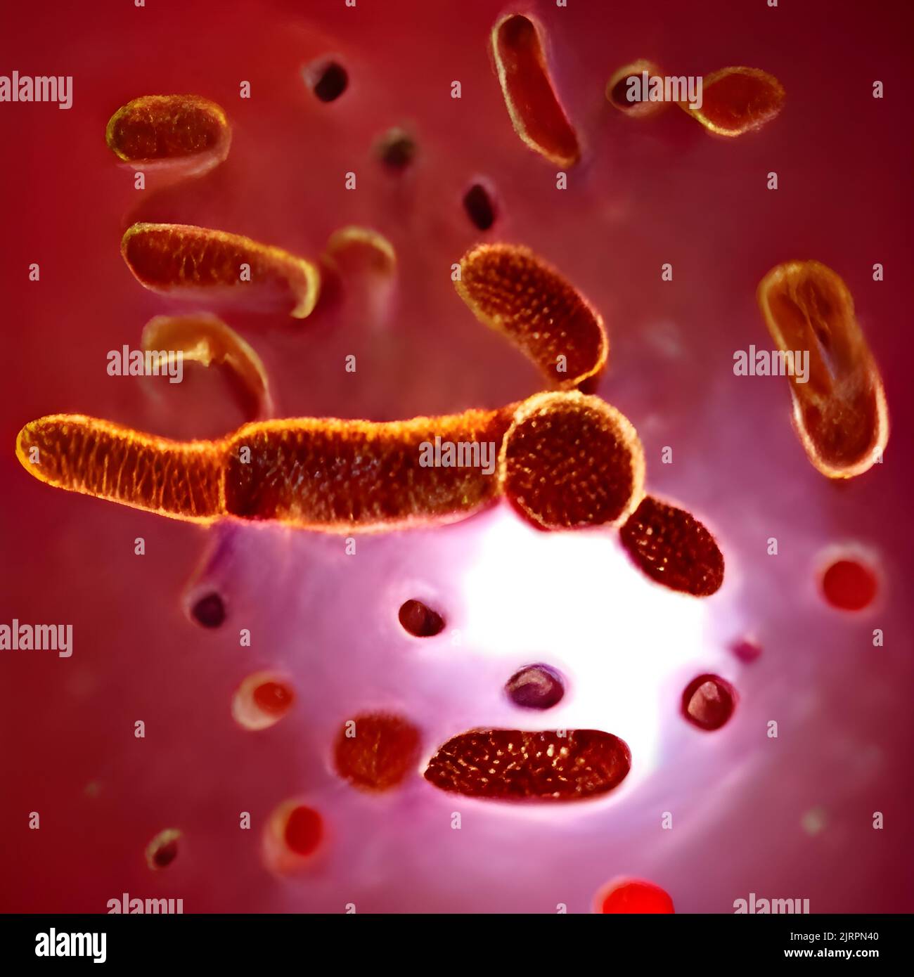 Bacteria outbreak and bacterial infection as a microscopic background ...
