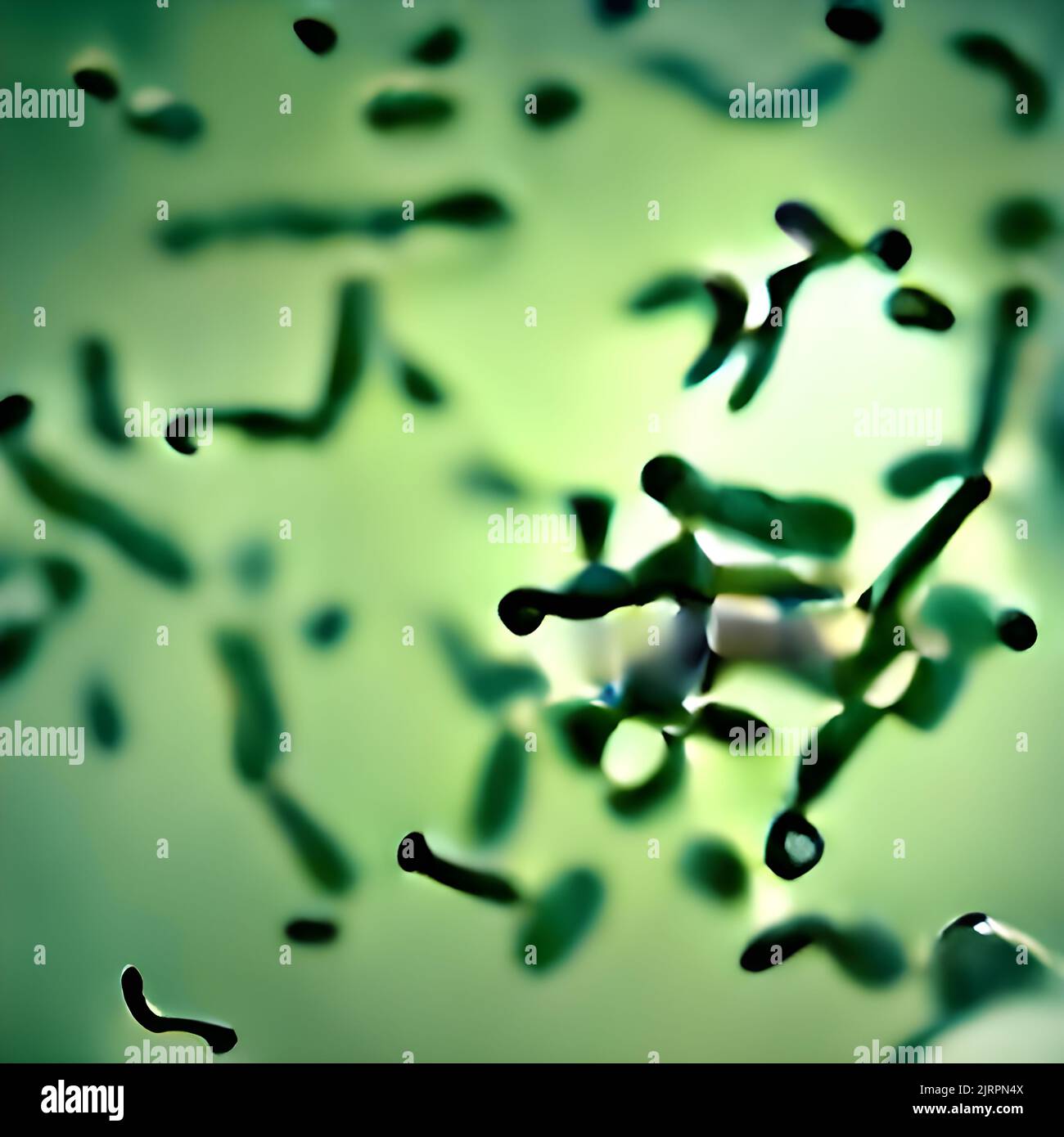 Bacteria outbreak and bacterial infection as a microscopic background