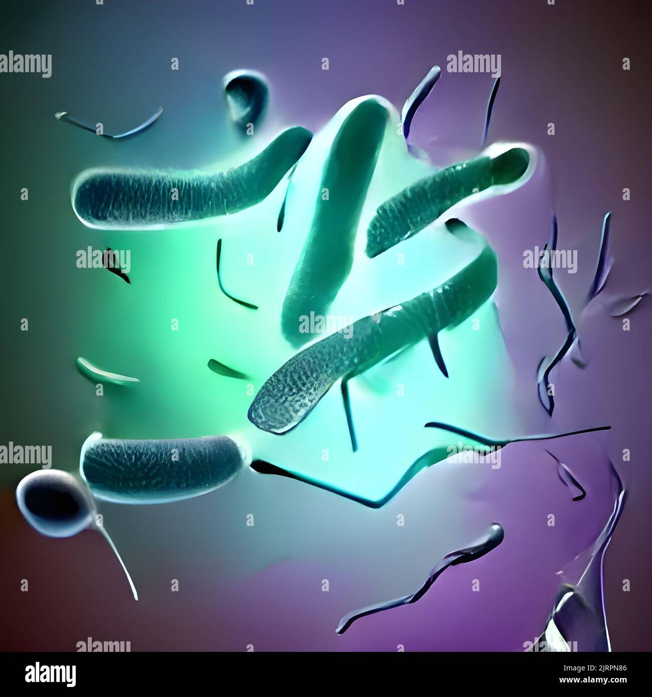 Biofilm of antibiotic resistant bacteria, closeup view Stock Photo Alamy