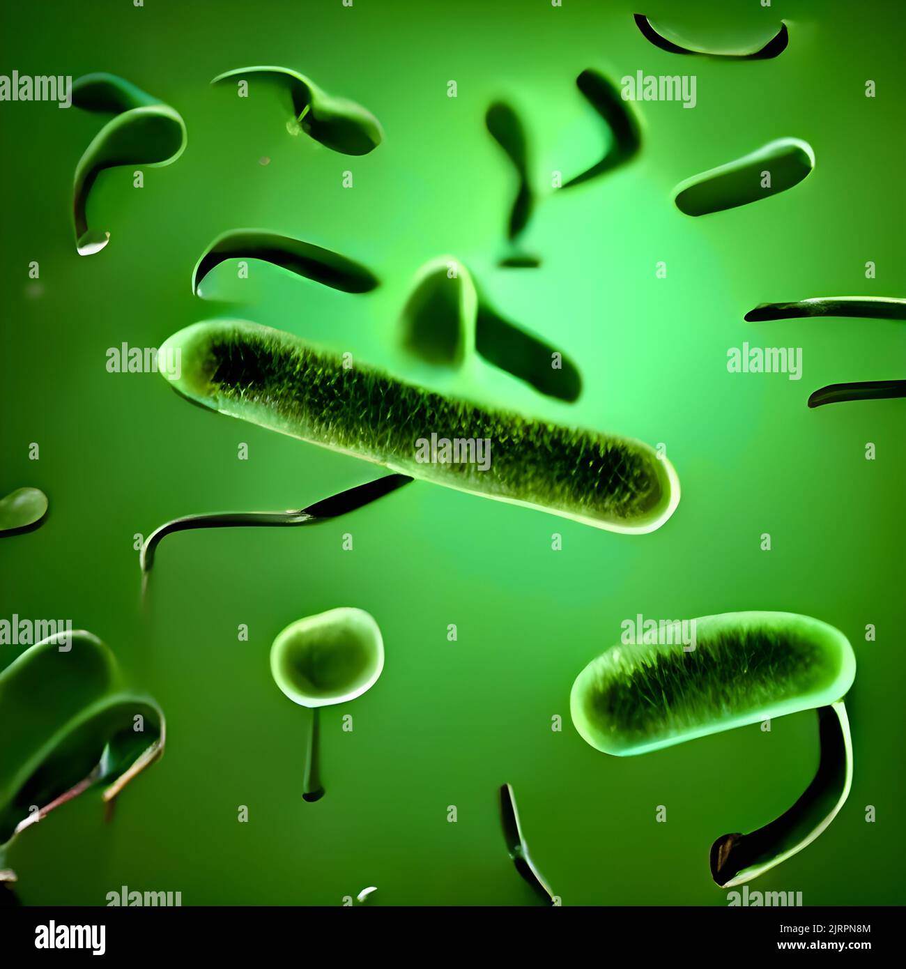 Biofilm of antibiotic resistant bacteria, closeup view Stock Photo Alamy