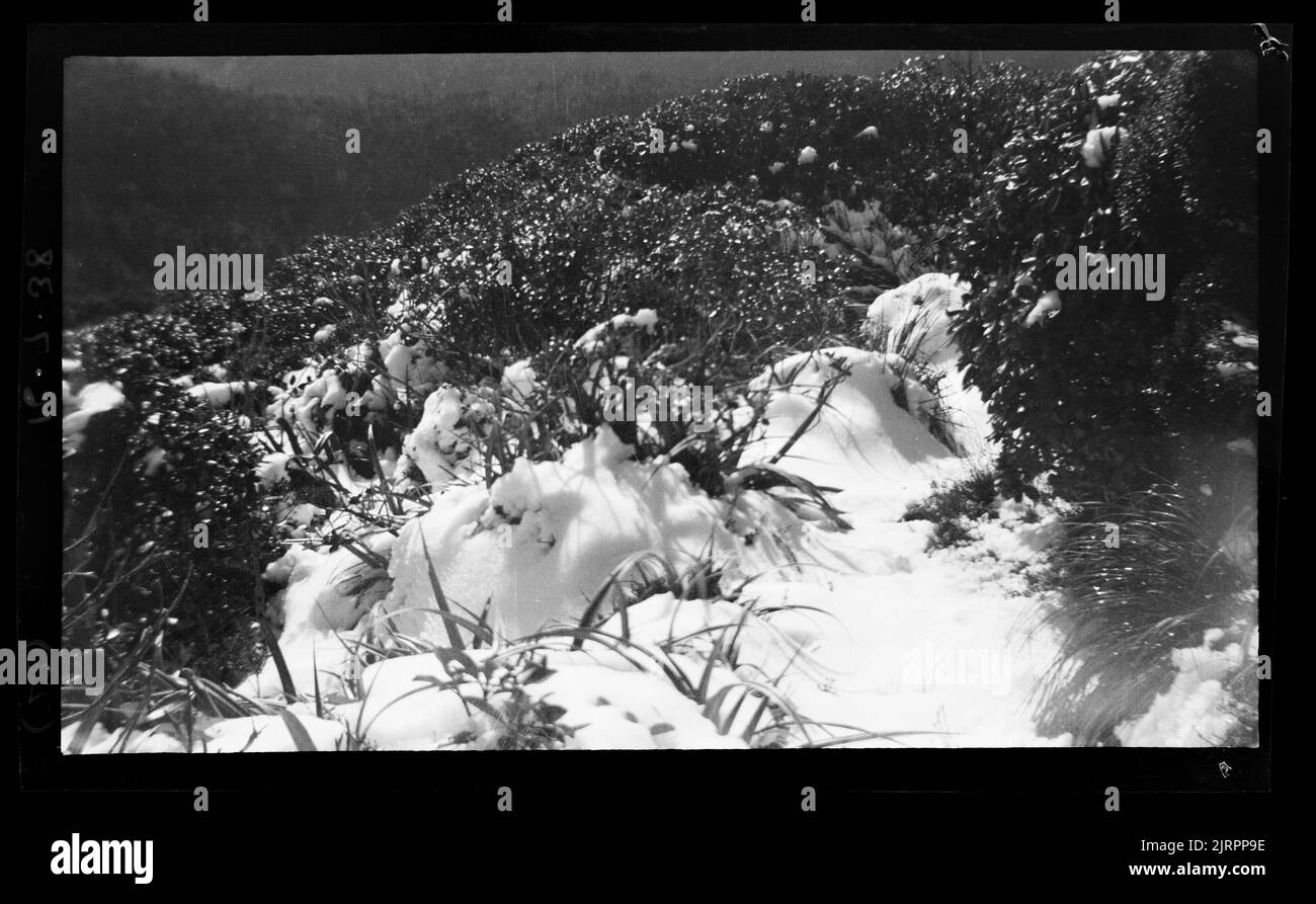 Horowhenua Geological and Tararua Range, 16 July 1938, by Leslie Adkin ...