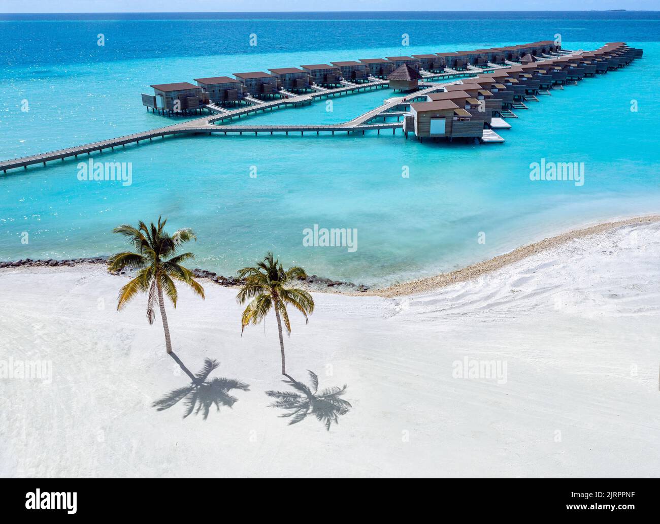 Palm tree shadow aerial hi-res stock photography and images - Alamy