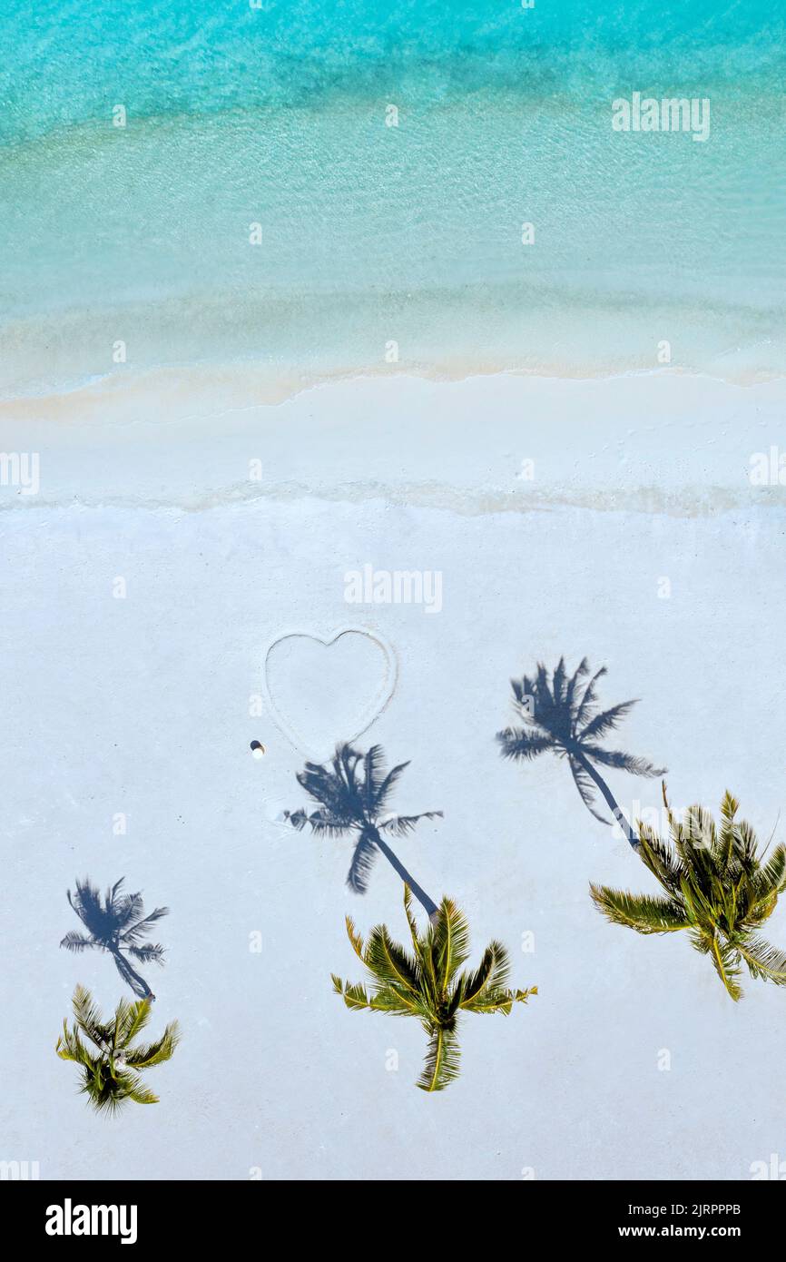 Aerial view of palm trees on tropical beach Stock Photo - Alamy